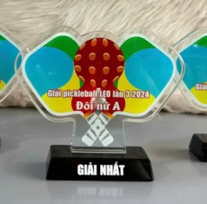 Kỷ niệm chương pha lê thủy tinh PL1 cao tổng 14cm 16cm 18cm — ảnh thành phẩm SAIGONPR đã giao