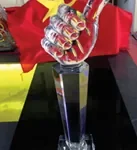 Kỷ niệm chương pha lê thủy tinh TBTPL cao tổng 30cm — ảnh thành phẩm SAIGONPR đã giao