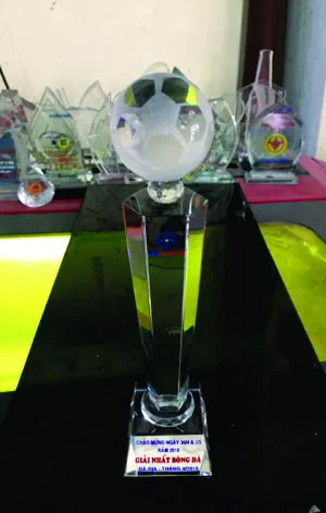Kỷ niệm chương pha lê thủy tinh TCTPL cao tổng 30cm