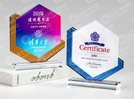 Kỷ niệm chương pha lê thủy tinh TEG cao tổng 20cm