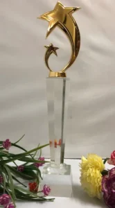 Kỷ niệm chương pha lê thủy tinh TGOPL cao tổng 30cm — ảnh thành phẩm SAIGONPR đã giao