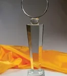Kỷ niệm chương pha lê thủy tinh TNTPL cao tổng 32cm Cao tổng 30cm — ảnh thành phẩm SAIGONPR đã giao