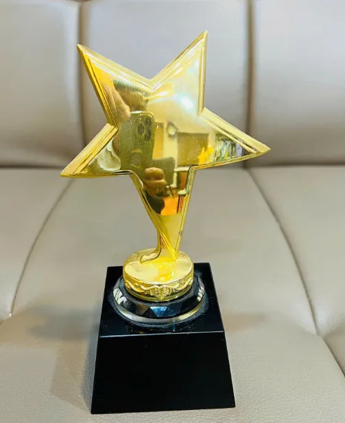 Kỷ niệm chương pha lê thủy tinh XEGPL cao tổng 25cm