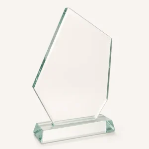Kỷ niệm chương pha lê thủy tinh TĐA cao tổng 16cm 18cm 20cm 22cm — ảnh thành phẩm SAIGONPR đã giao